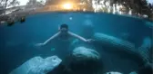 Pamukkale'deki 