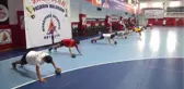 Türk Hentbolunun 