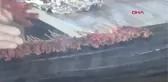 Antalya 40 Kiloluk Ceren, 23 Dakikada 255 Çöp Şiş Yedi