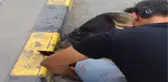 Duyarlı Vatandaşlardan Örnek Davranış...sıcaktan Bayılan Köpeği Kendine Getirmek İçin Dakikalarca...