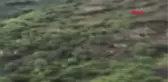 Ordu İçinde 3 Kişinin Bulunduğu Araç 400 Metrelik Uçurumdan Yuvarlandı