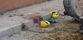 18 Yaşındaki Öğrenci, Üniversiteyi Kazandığı Gün İş Kazasında Öldü