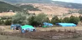 10 Temmuz'da Kaybolan 3 Yaşındaki Evrim Atış'ı Arama Çalışmaları Sürüyor