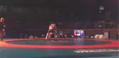 Avrupa Gençler Güreş Şampiyonası