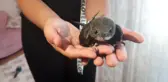Ebabil Kuşu Yardım Bekliyor