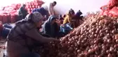 Ekmeklerini Topraktan Çıkartıyorlar