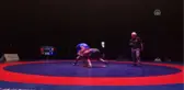 Avrupa Gençler Güreş Şampiyonası