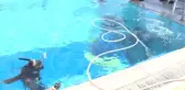Namık Ekin'den Yeni Rekor