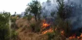 Hizan'da Çıkan Orman Yangınında 3 Bin Dönüm Orman Kül Oldu