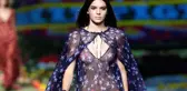 Kendall Jenner'ın Köpeği Küçük Çocuğu Isırdı