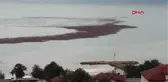 Ordu'da Tonlarca Fındık Denize Aktı