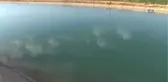 Pikap Sulama Kanalına Uçtu