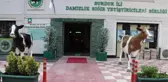 Süt Fiyatlarının Otomatik Belirlenmesi Gerekiyor