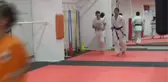 Diyarbakırlı Karatecilerden Büyük Başarı