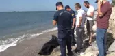 Beylükdüzü'nde Denizde Kaybolan Kişinin Cesedine Ulaşıldı