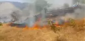 Fıstık Bağlarında Yangın