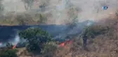Piknikçilerden Kalma Küller Az Daha Beldeyi Yakıyordu