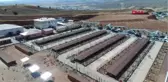 Sivas Sivas'ta 5 Yıldızlı Hayvan Barınağının Açılışı Yapıldı Hd
