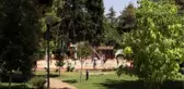 Çocuklar 