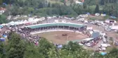 Türkiye Boğa Güreşi Şampiyonası