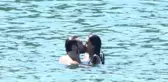 Dilan Çiçek Deniz ve Furkan Andıç, Denizde Birbirini Öpücüklere Boğdu