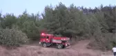 Hatay'da Orman Yangını