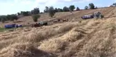 Siyez Buğdayında Rekolte Yüz Güldürdü