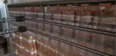 Van'da Üretilen Meyve Suyu Yurt Dışına İhraç Ediliyor
