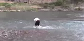 Botan Çayı'nda Boğulmalara Karşı Önlem