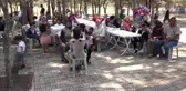 15. Geleneksel Karamanlı Ceviz, Mermer ve Yayla Şenlikleri