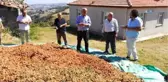 Bafralı Fındık Üreticileri 15 Lira Taban Fiyat Bekliyor