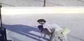 Malaklı Cinsi Çoban Köpeğini Böyle Çaldı