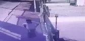 Malaklı Cinsi Çoban Köpeğini Böyle Çaldı