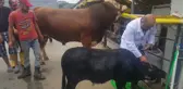 Bu da En Küçük Kurbanlık