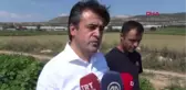 Burdur Vali Şıldak Fasulye Topladı