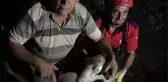 Kuyuya Düşen Kurbanlık Koyunu İtfaiye Kurtardı