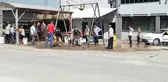 Kurbanlık Tosunun İnadı Kasabı Çileden Çıkarttı