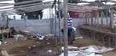 Ümraniye'deki Kurban Pazarında Büyükbaş Hayvan Satışı Tükendi