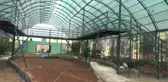 Nesli Tükenen Kelebekler İçin Gaziantep'te Tropik Merkez Yapılıyor