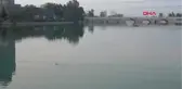 Adana Nehre Atlayan Kadını Vatandaşlar Kurtardı Hd