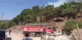 Reşadiye'de Orman Yangını