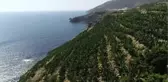 Tropik Meyvelere Tescil Geliyor