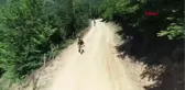 Gümüşhane Karadeniz'de, PKK'nın Kabusu Komando Timleri İz Sürüyor Hd