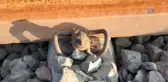 Samsun-Sivas Demiryolu Hattının Aparatlarını Çalmaya Kalkınca Tutuklandılar