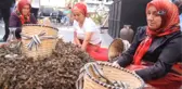 Fındığın Başkenti Giresun'da Fındık Festivali Düzenlendi
