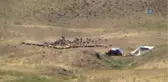 Beytüşşebap'ta PKK'ya Yönelik Büyük Operasyon...şehit Yarbay Songül Yakut Operasyonu Tüm Hızıyla...