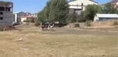 Solhan'da Yöresel At Yarışları ile Çifte Kutlama