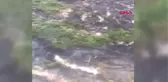 Hatay Hatay'da Makilik Alanda Yangın