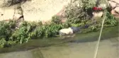Mersin Sulama Kanalında Cesedi Bulundu