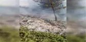 Gümüşhane'de Orman Yangını